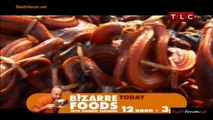 Bizarre Foods with Andrew Zimmern 28th July 2014 Video Watch Online pt8