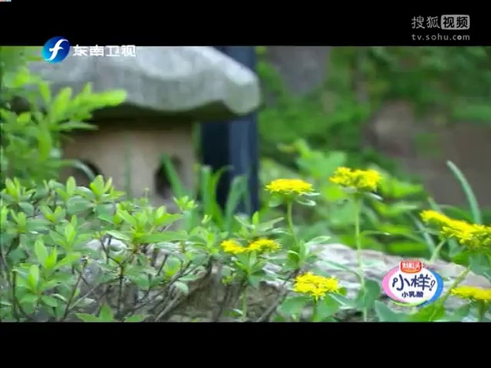 20140710 真爱在囧途 陈赫吃光经费逃交房租 陶晶莹发飙中断拍摄