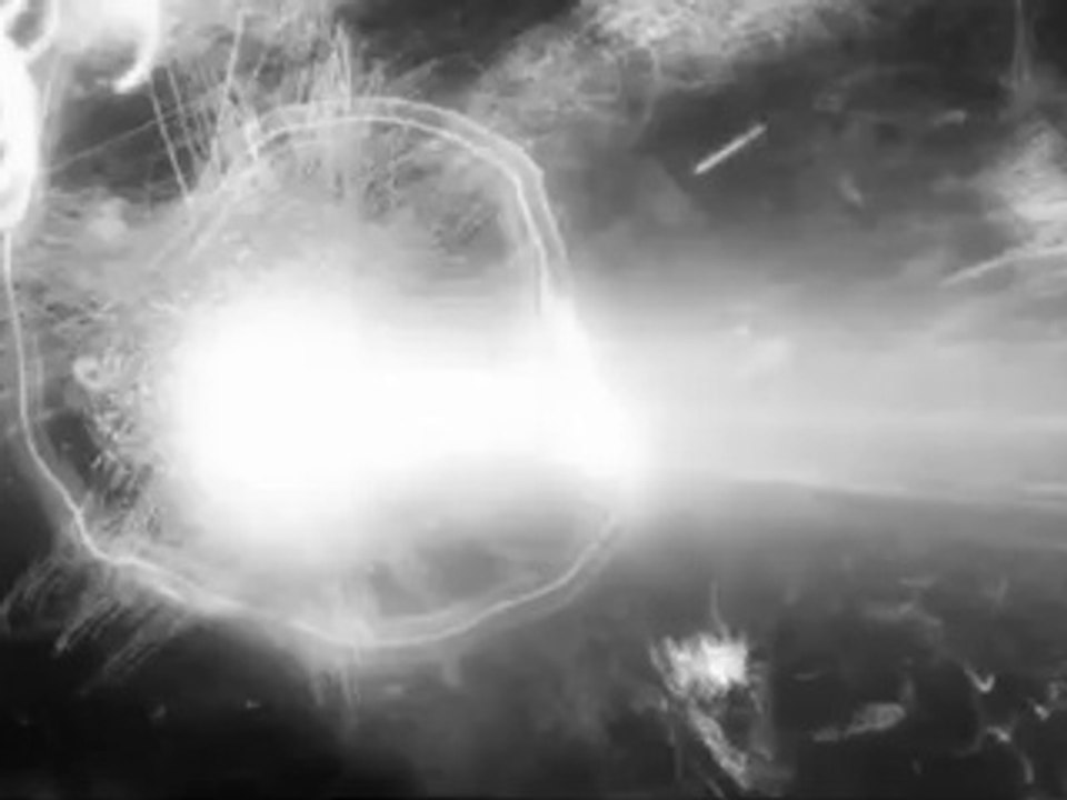 The Moon Bird - Trailer
