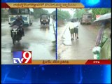 Heavy rains in Andhra Pradesh, Telangana