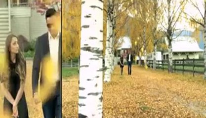 Mera deewana pan by amrinder gill