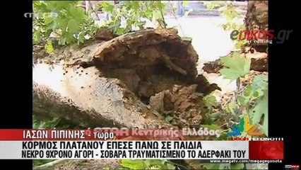 ΕΛΕΥΘΕΡΟΣ Ο ΥΠΑΛΛΗΛΟΣ ΤΟΥ ΔΗΜΟΥ ΛΑΜΙΑΣ