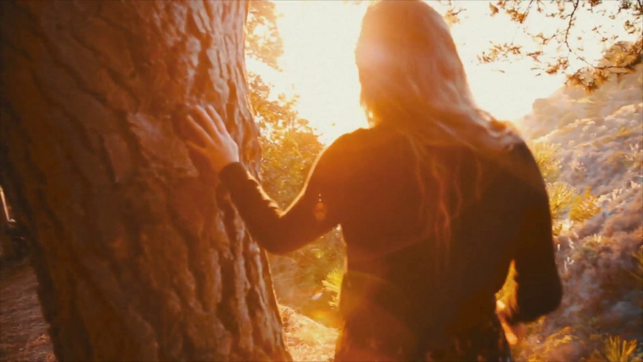 Angus & Julia Stone "Grizzly Bear" [Official Video]