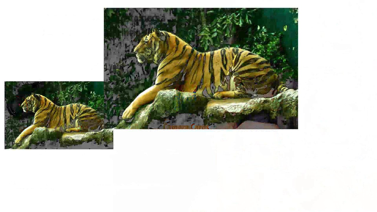 Photo Enlargement from Data Colour