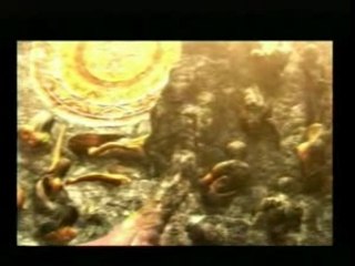 montage video limp bizkit