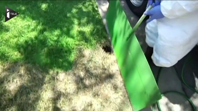 En Californie la sécheresse pousse les gens à peindre leurs pelouses