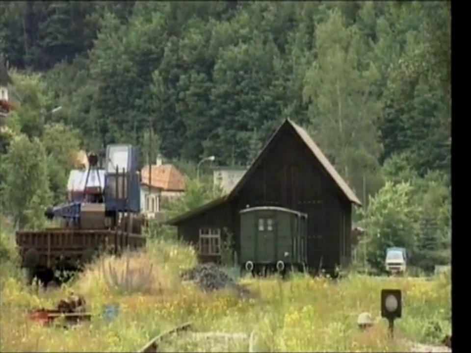 Das pfaelzer Kuckucksbaehnle und seine T3