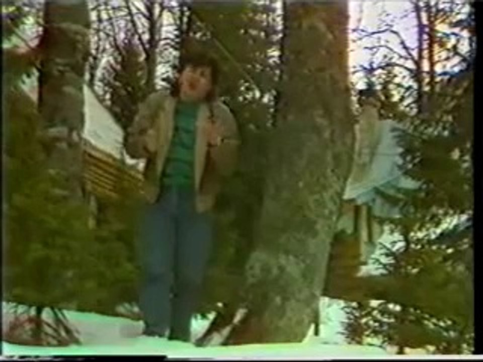 Serif Konjevic - Prolazi jesen napolju je zima