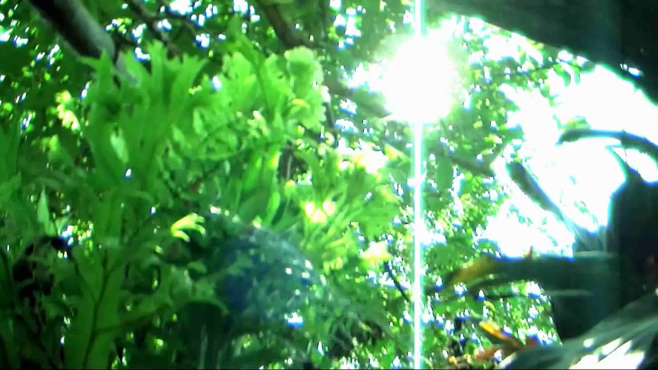 FILME Mito da Caverna Platão - OLHAR PRA VER - Celso Lira - Filosofia Verdade Socrates