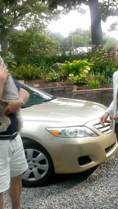 Un chien s'évanouit lors des retrouvailles avec sa maîtresse