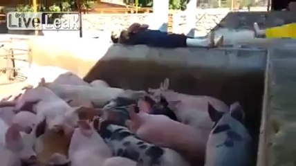 har aak frend kameena hota hai