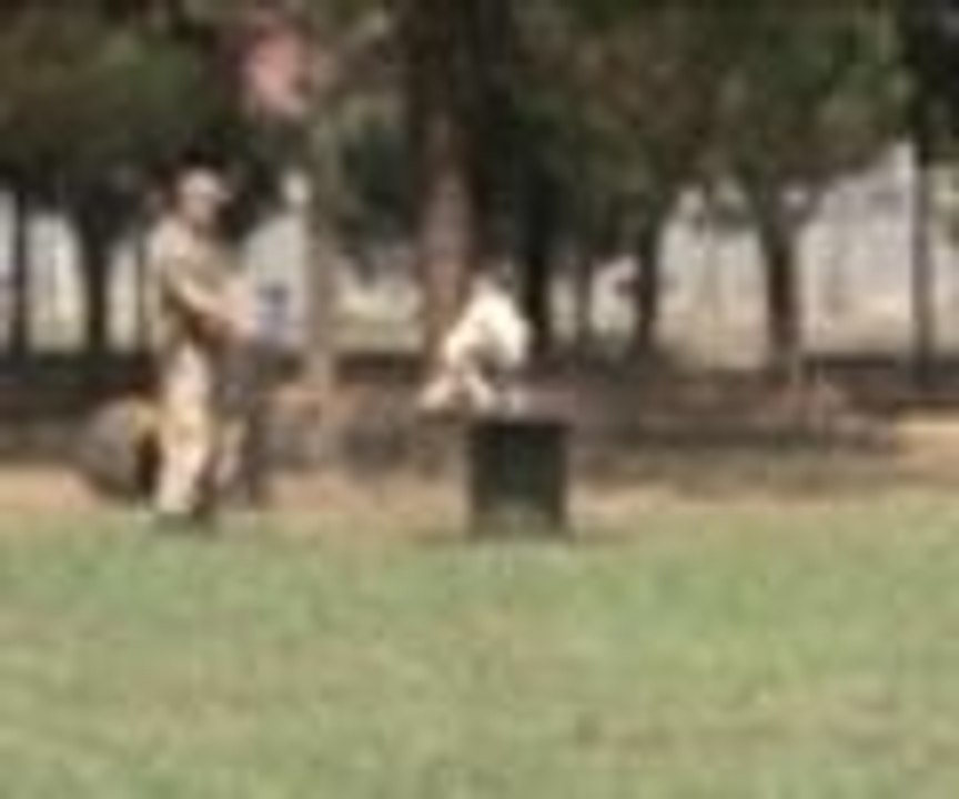 Bu köpekler "hazır ol"da bekliyor