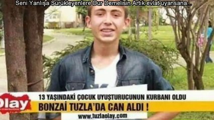 Haylaz - Sokak Hayatı 2014 ( Bonzaiye Hayır )