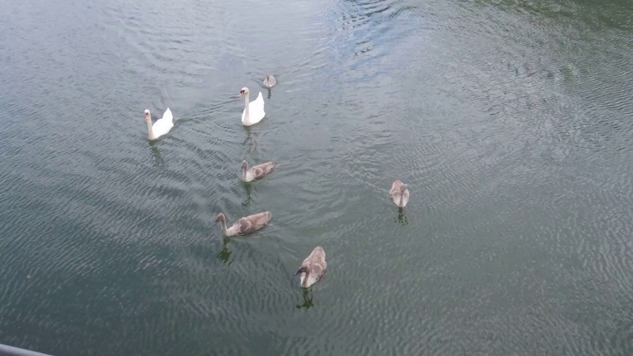 Suche nach BuL Systeme an der Kuhle