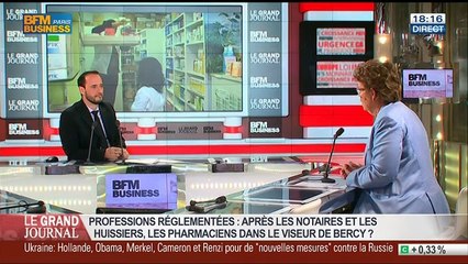 Isabelle Adenot, présidente du Conseil national de l'Ordre des pharmaciens, dans Le Grand Journal - 28/07 1/7
