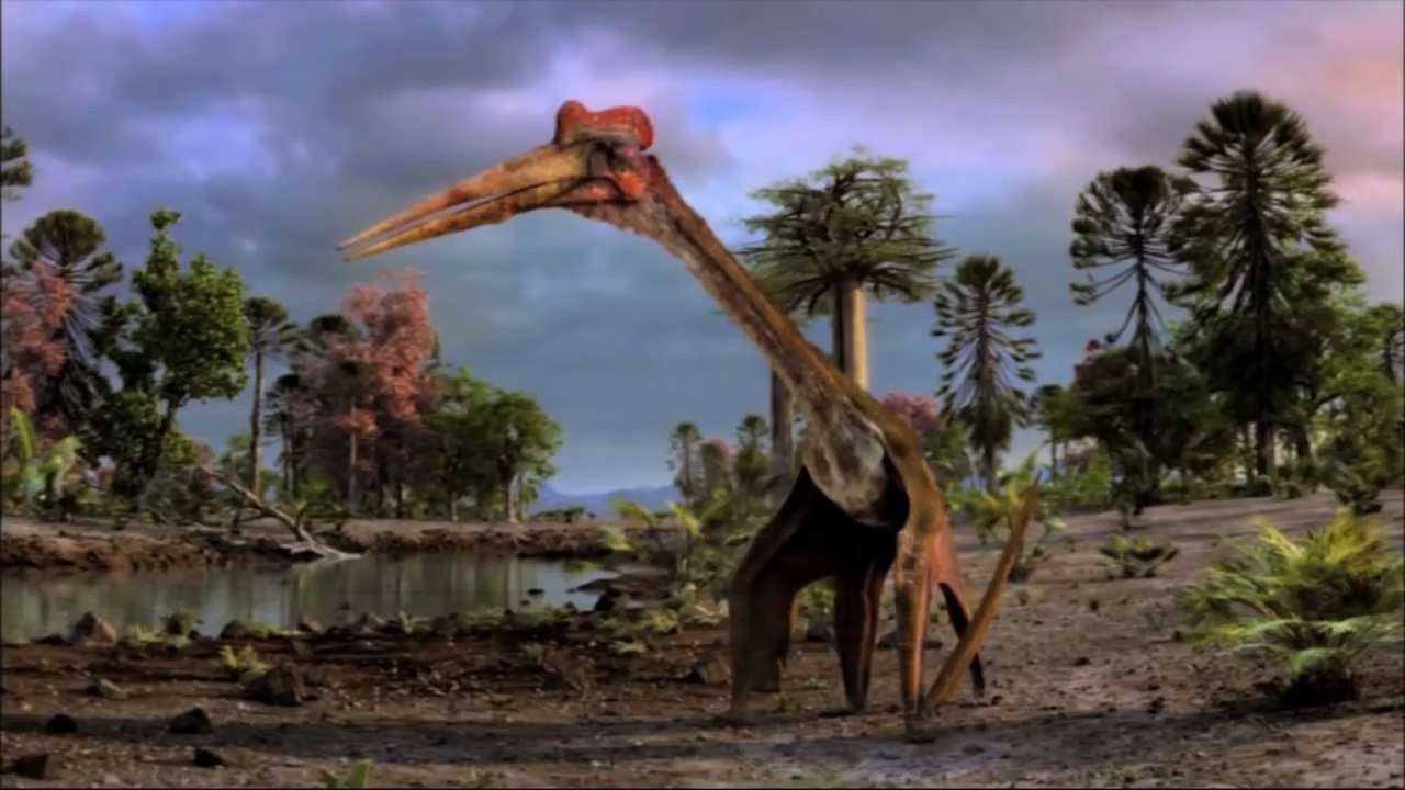 Flying Monsters 3D - Trailer