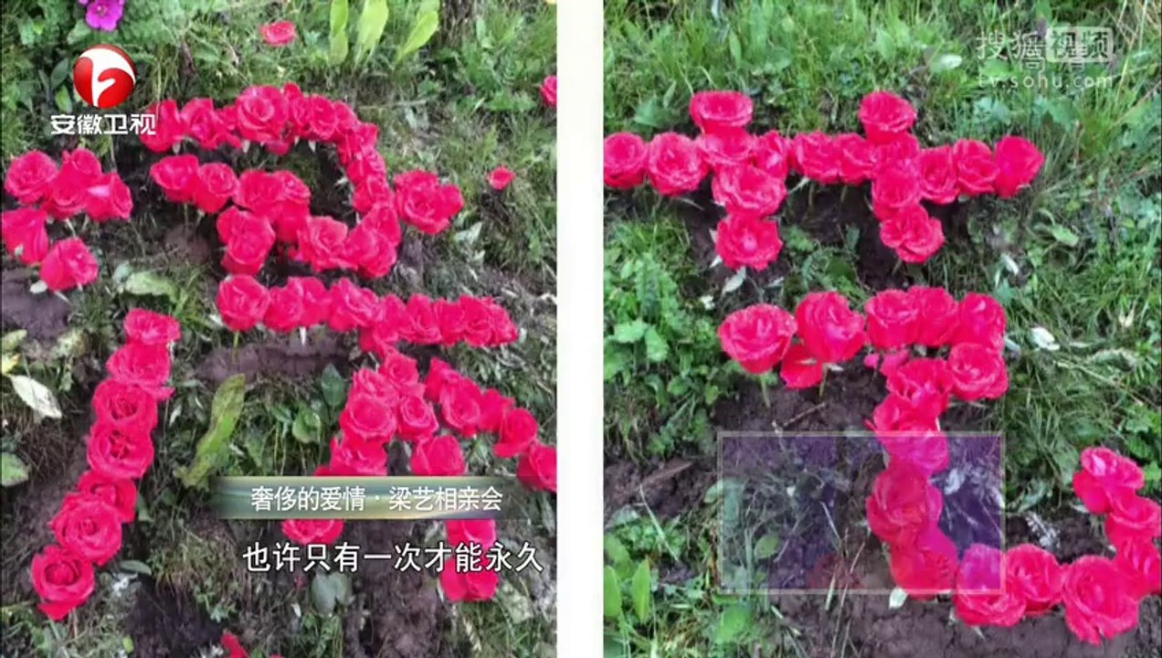 20140729 爱传万家-说出你的故事 《说出你的故事》20140728 奢侈的爱情 梁艺相亲会