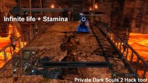 Dark souls 2 1.4 private hack tool