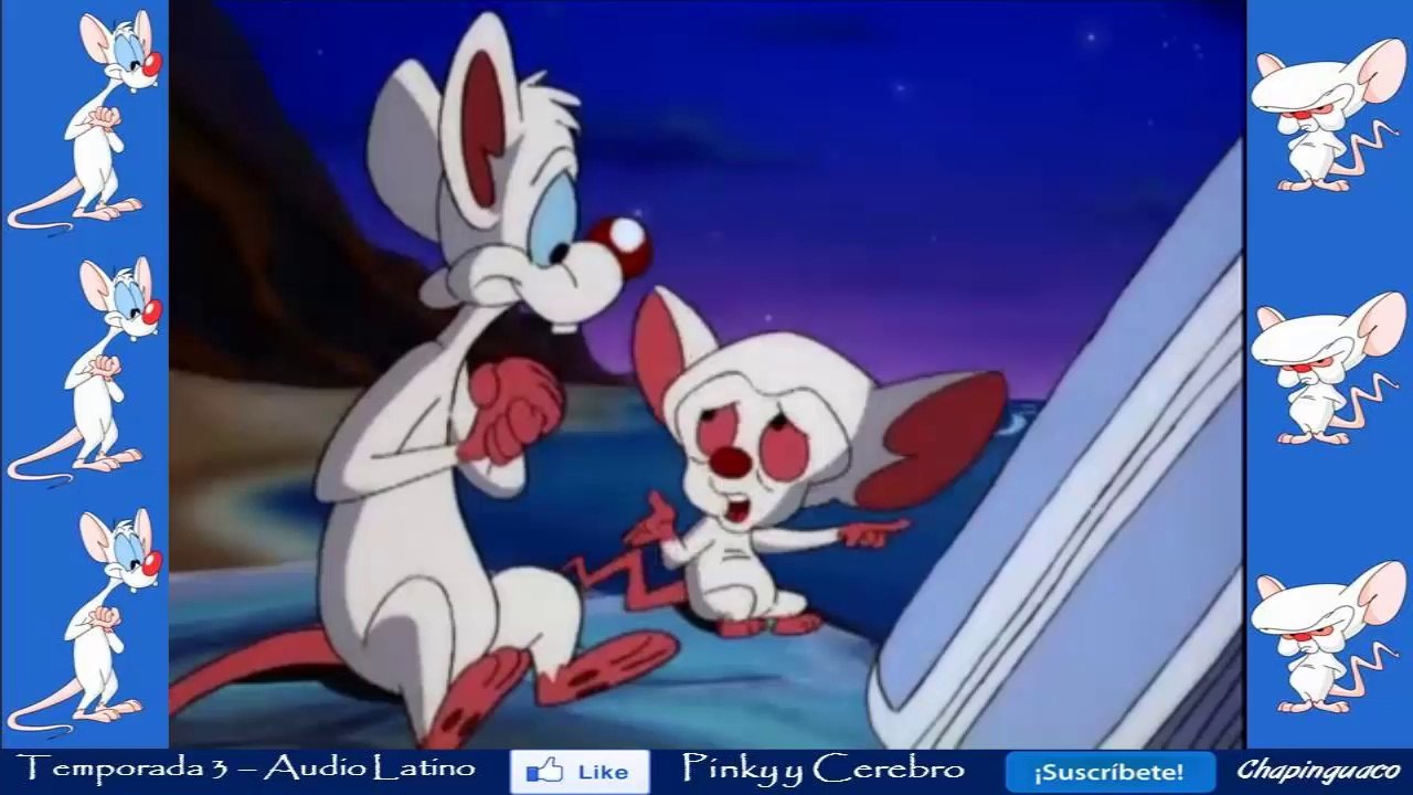 Pinky y Cerebro Capitulo 46
