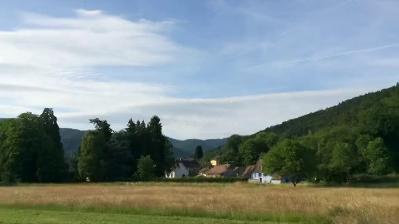 Sans titre
