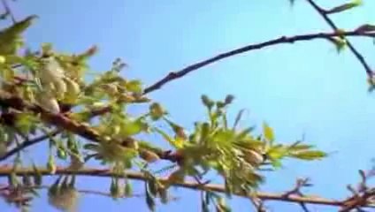 The Greatest Speech Ever Made