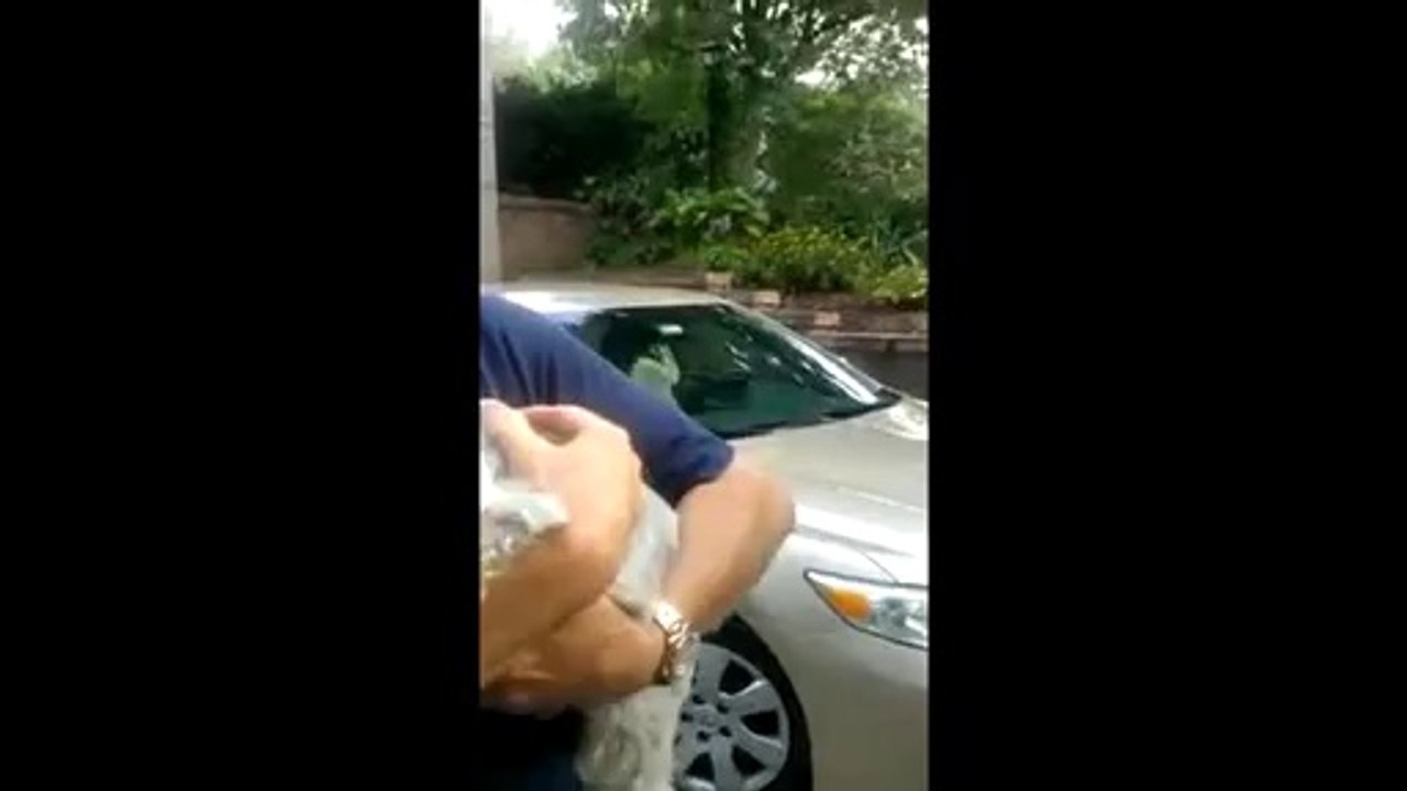 Dog passes out from overwhelming joy