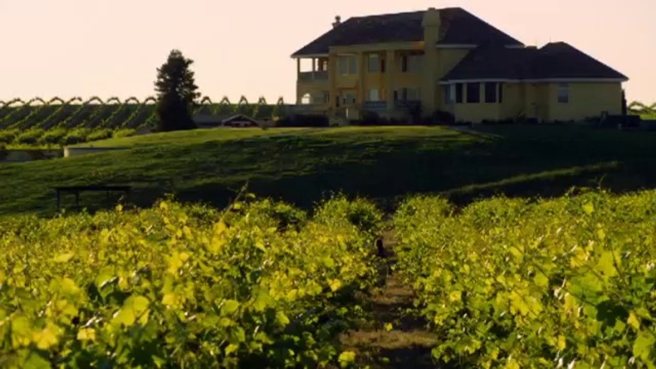 The Chateau Meroux - Trailer