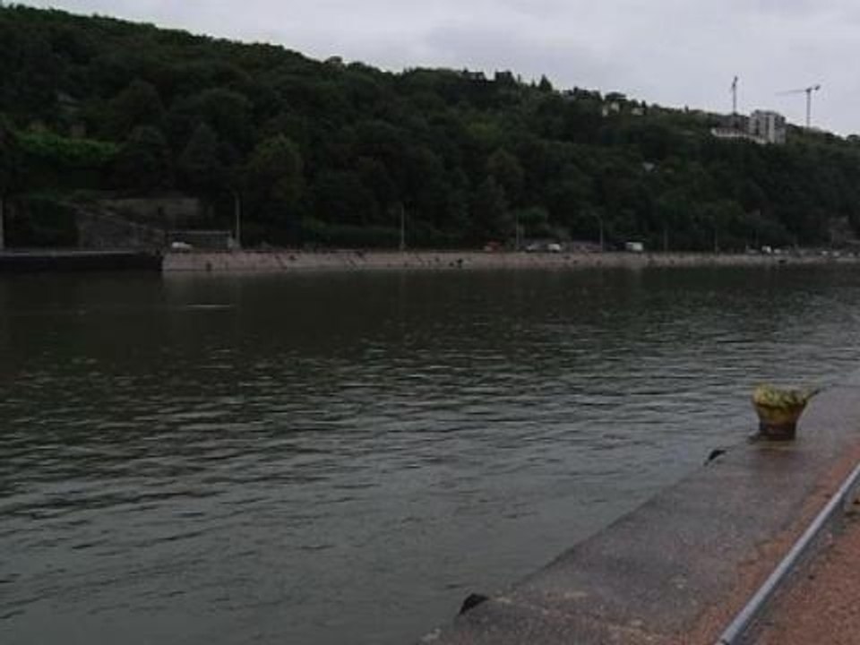 Lyon: une voiture tombe dans la Saône, trois je...