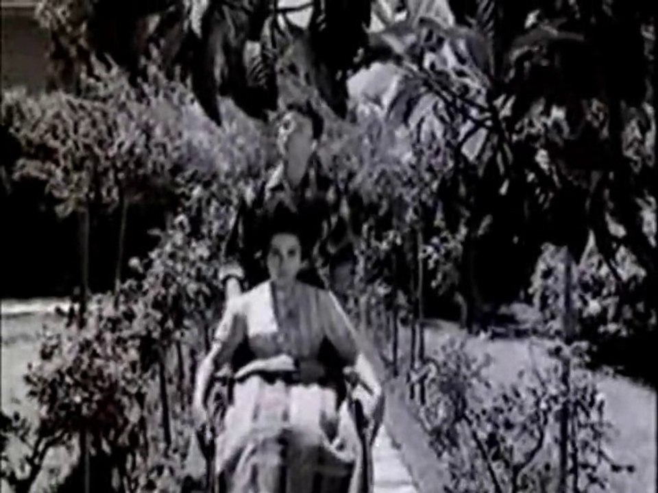 Hayatımın Çiçeği - Zeki Müren (Belgin Doruk & Zeki Müren)