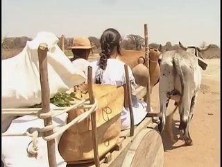 Leocádia -- Parte 01