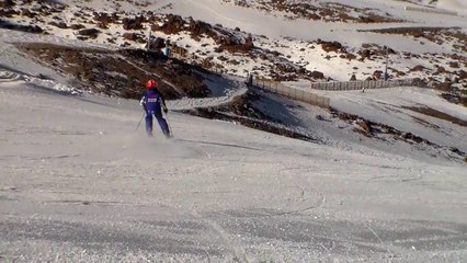 fuenzalida gs libre 2