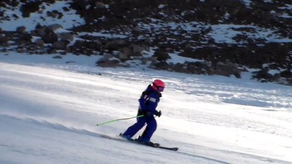 tere undurraga gs libre 1