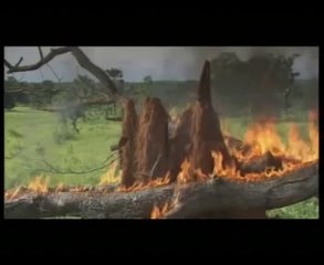 The Besieged Fortress