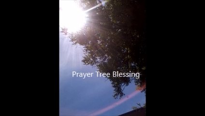 MULTIPLE SUNS.FOREVER ALL FAITHS READING ROOM