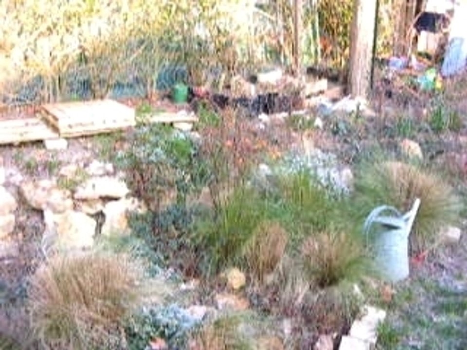 Le jardin en hiver