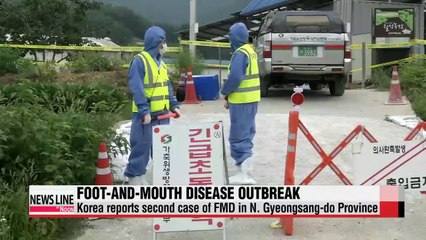 Korea reports second case of FMD in N. Gyeongsang-do Province