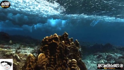 ♛♫♥Araya & Mark Dreamer - Caldera (Original Mix)♥♫♛