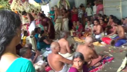 tirupapuliyur shri gopalasundara bagavatar neyveli  sri radha kalyanam 27 07 14