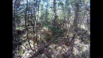 TENTATIVE D ECHAPPÉ A UNE SQUAD DE FOU FURIEUX LOL