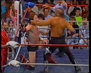 Mean Mark Vs Road Warrior Animal