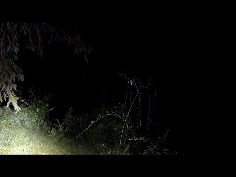 LePowerTM 9 x CREE XM-L T6 LED Flashlight 10000 Lumens Super Bright 5 Modes Waterproof Flashlight