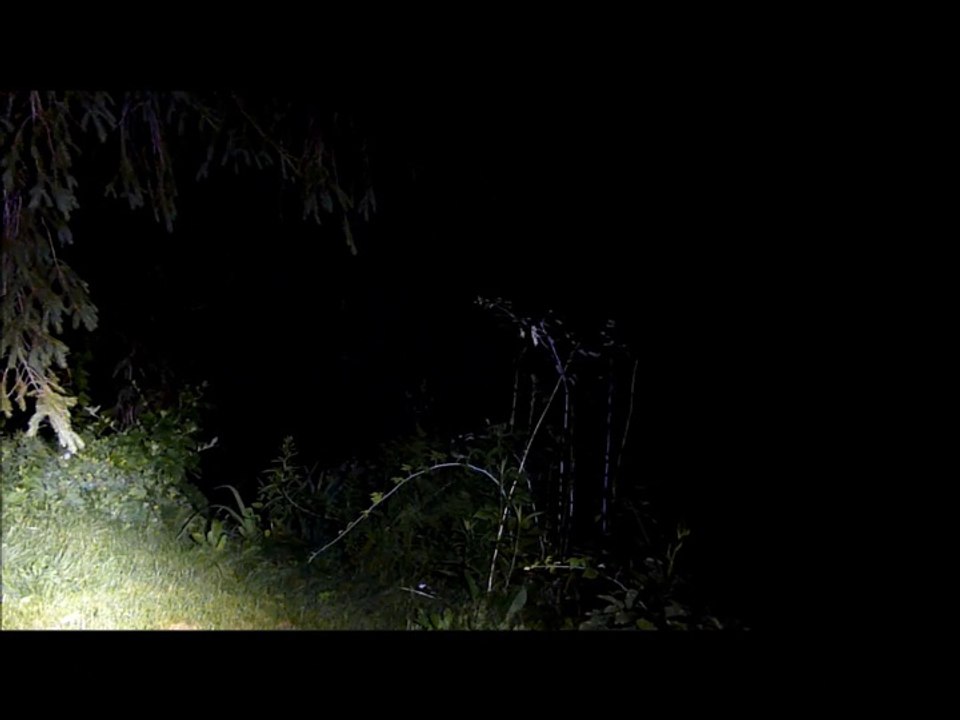 LePowerTM 9 x CREE XM-L T6 LED Flashlight 10000 Lumens Super Bright 5 Modes Waterproof Flashlight