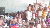 tirupapuliyur shri gopalasundara bagavatar neyveli  sri radha kalyanam 27 07 14   MVI_0141