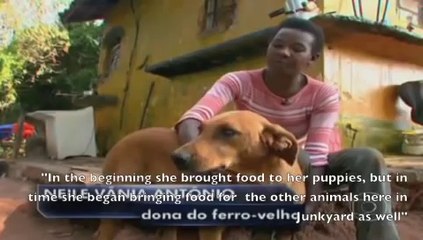 Magnifique : cette chienne fait preuve d'une générosité incroyable
