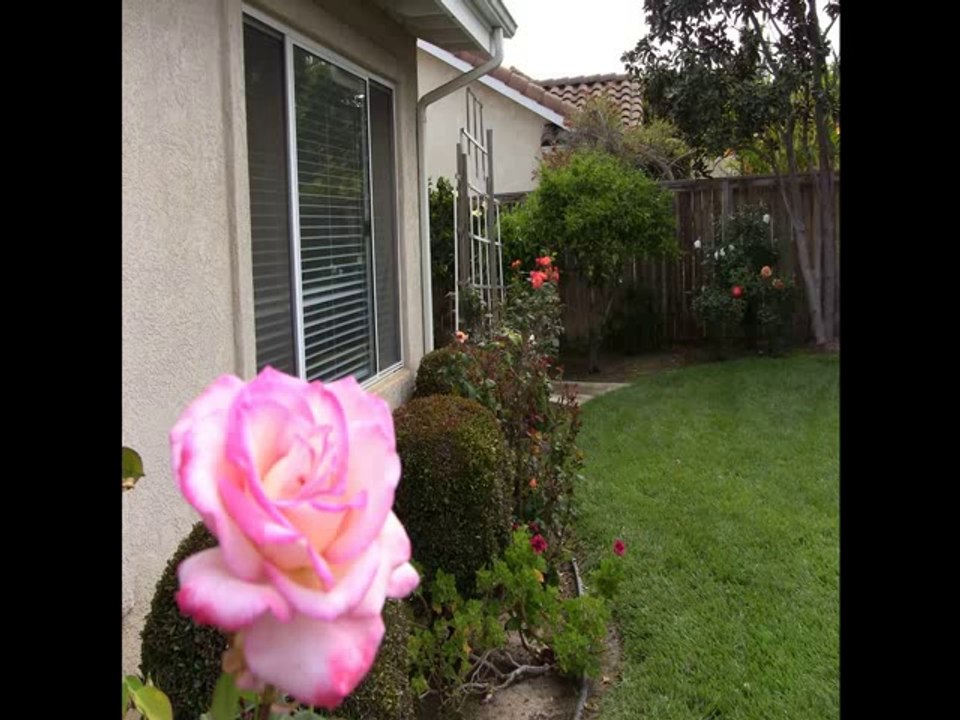 Need to sell my house now in Santa Paula  How do I get Started
