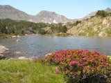 Rando Pêche dans les lacs des Camporells