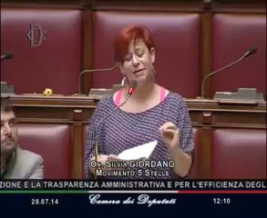 Roma - Camera - 17° Legislatura - 273° seduta (28.07.14)