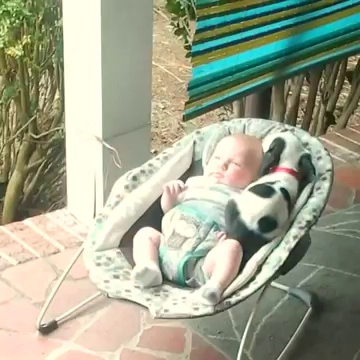 Un bébé et un petit chien se font des câlins dans un fauteuil à bascule!