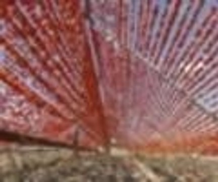 Kurutmalık sebzeler geçim kaynağı oldu