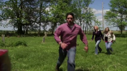 Camel Spiders (2012) - Official Trailer